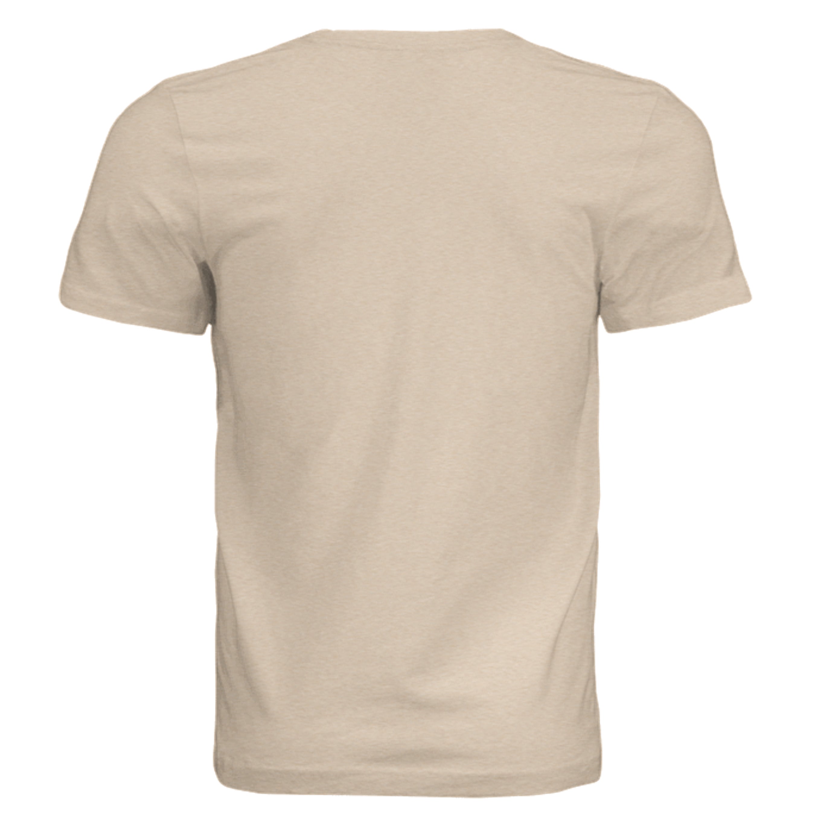 Sand Dune Triblend - 3413C - BACK